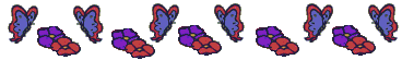 Butterfly row